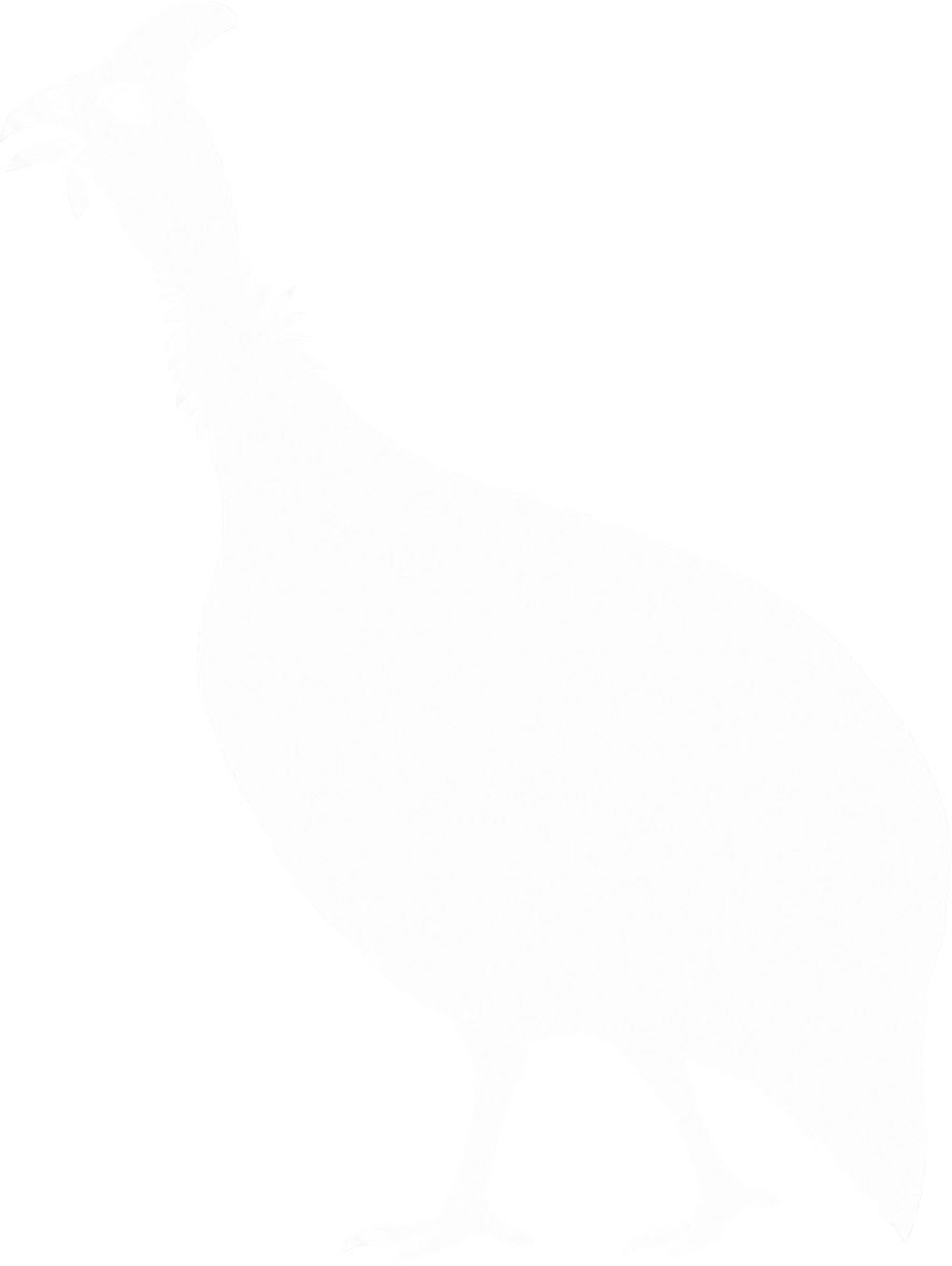 BirdfolioSA logo